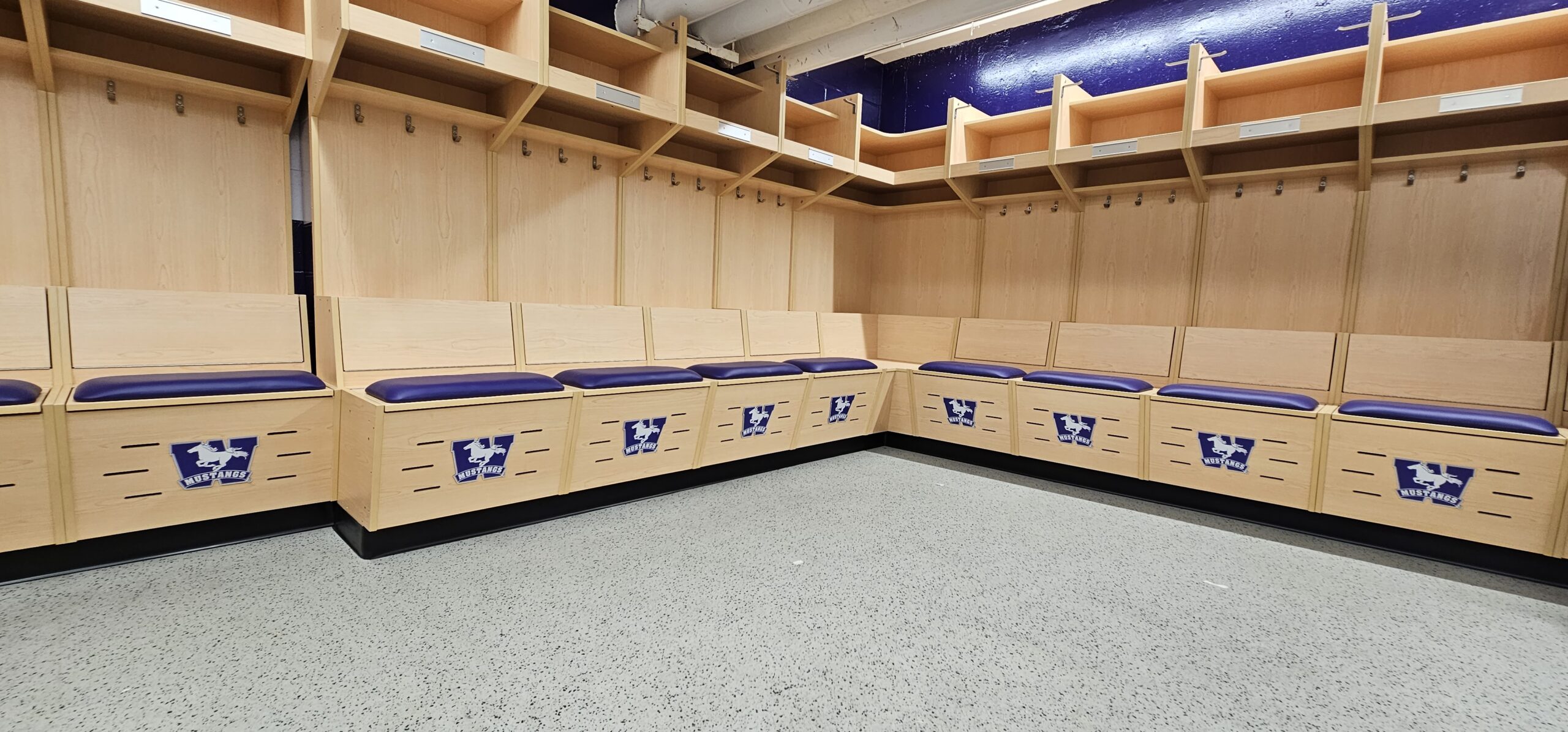 Photo of custom hockey locker room seating. The wood is maple, and the seats are padded with purple cushions and display the Mustangs logo.